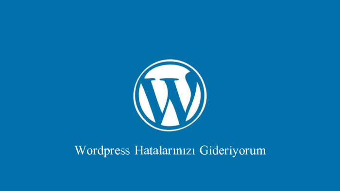 wordpress hatalarını giderebilirim