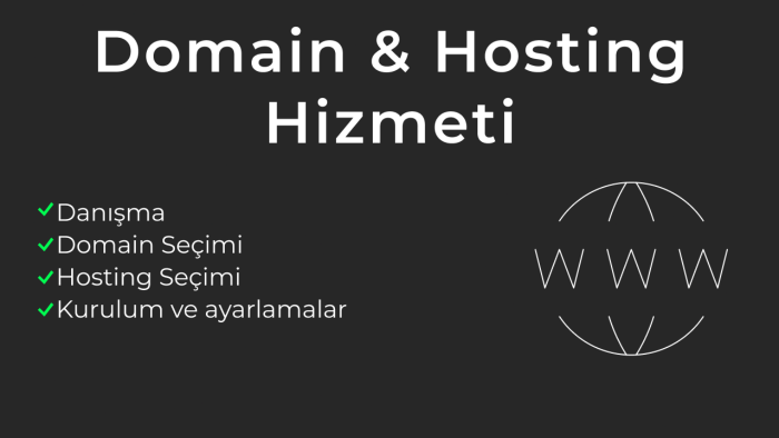 domain ve hosting konusunda size yardımcı olurum