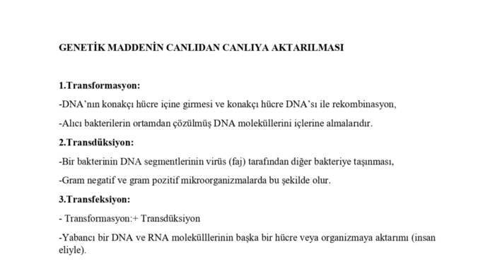 el yazısı notlarınızı profesyonelce dijitale aktarıyorum