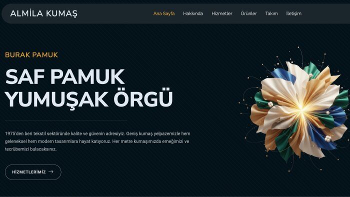 sizin için profesyonel web sitesi yaparım