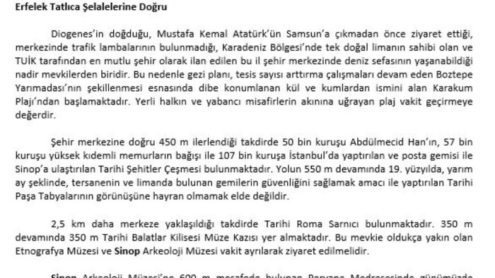 seyahatleriniz için isteğinize özel plan hazırlayabilirim