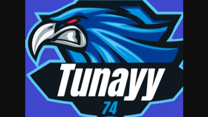 bütçeye uygun logo tasarlarım