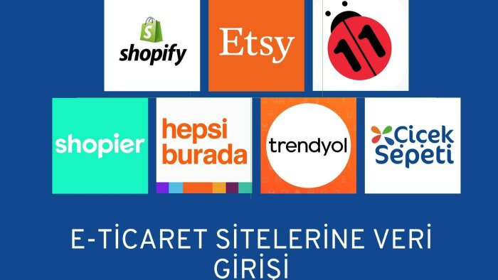 e-ticaret sitelerine veri girişlerinizi halledebilirim
