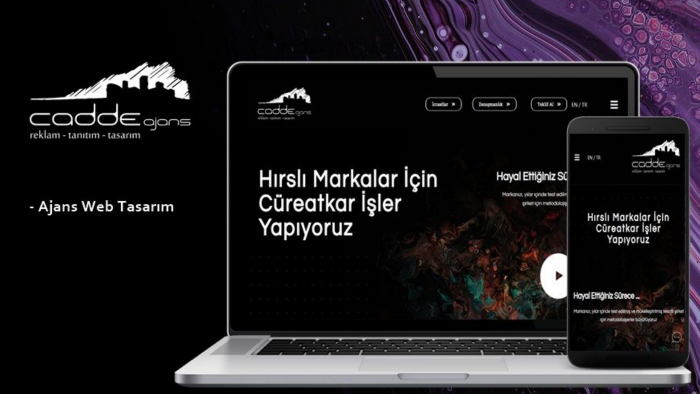 anahtar teslim web sitesi yaparım