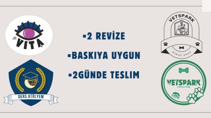 vizyonunuza uygun bir logo yapabilirim