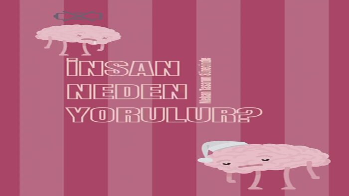 profesyonel video kurgu ve montaj yapabilirim