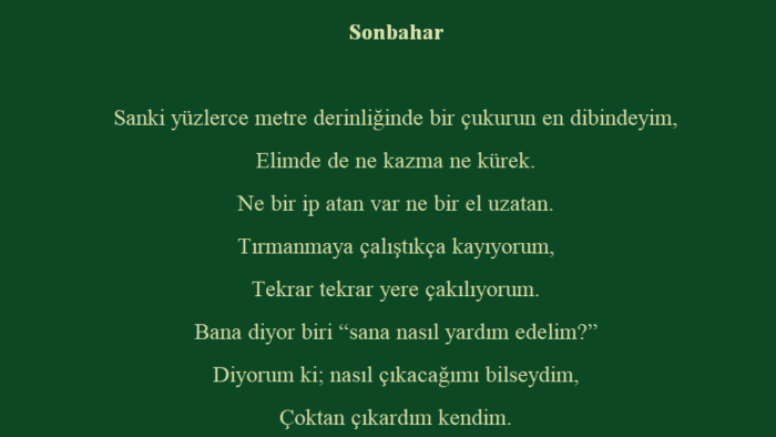 tiyatro, öykü vb. metinler yazıyorum ve denetliyorum