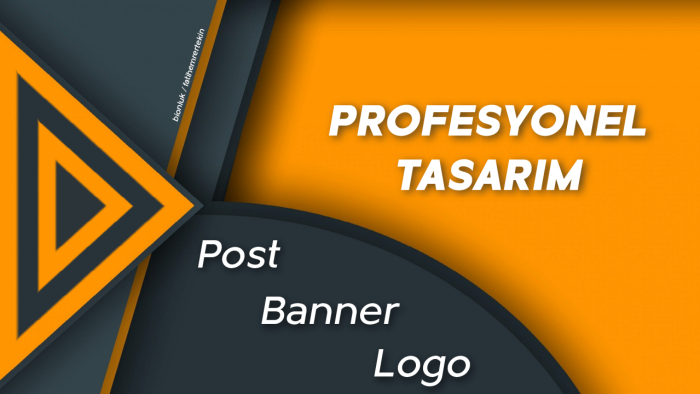 vektörel olarak profesyonel logonuzu tasarlayabilirim