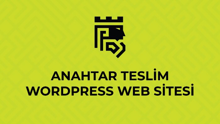 sizin için seo uyumlu kurumsal web sitesi yapabilirim