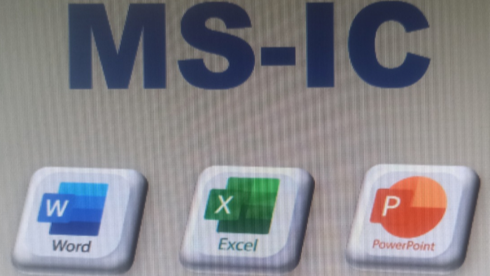 Word, Excel, Powerpoint ve evrak arşiv düzeni yapabilirim