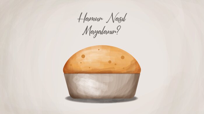 vektörel çizimler yapıyorum