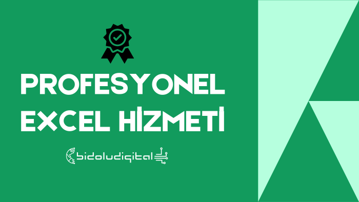 excel dosyalarınızı istediğiniz şekilde düzenleyebilirim