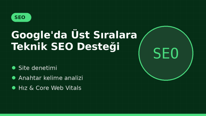 web sitenize kapsamlı site içi ve teknik SEO yaparım