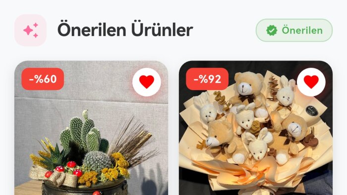 yapay zeka destekli uygulamalar tasarlayıp geliştiriyorum