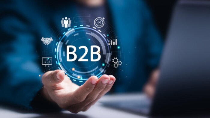 özel b2b toptan satış platformu geliştirebilirim