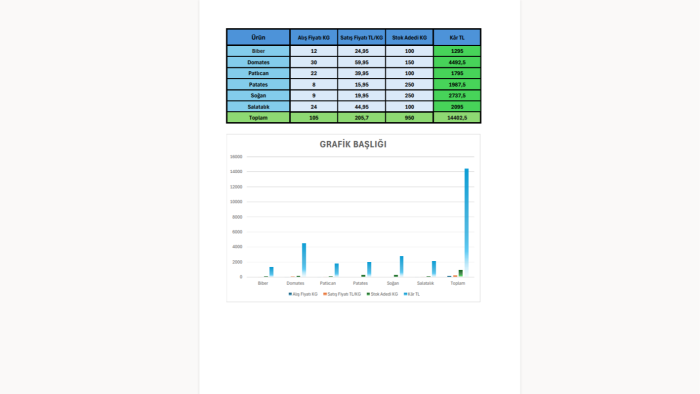 verilerinizi excel tablolarına ve grafiklere dönüştürürüm
