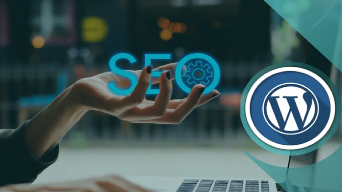 web sitenize profesyonelce içerik girebilirim