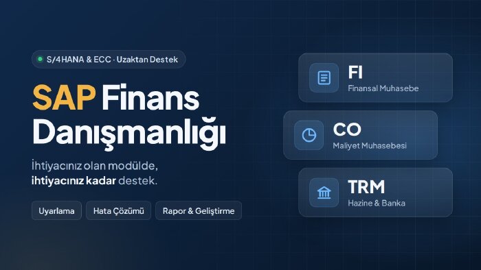 sap fi-co-trm danışmanlığı yaparım