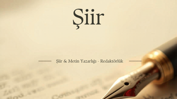 özgün ve etkileyici şiirler yazar, şiir redakte ederim