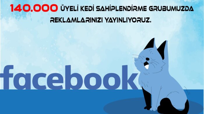 133 Bin üyeli facebook kedi grubunda ilanınızı yayınlarım