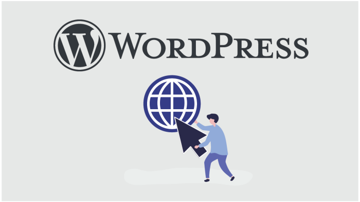 wordpress projeleriniz için çözümler sunabilirim