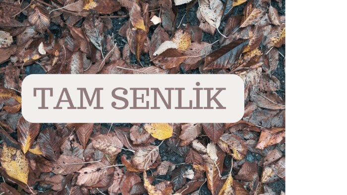 metin yazarlığı ve danışmanlık için size yardımcı olacağım