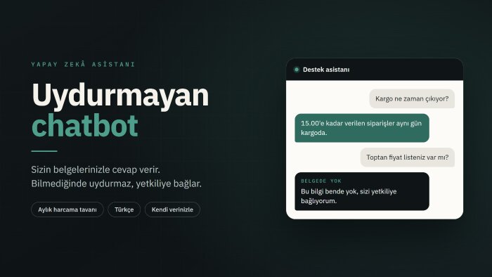 özel yapay zekâ chatbot kurar, sitenize yerleştiririm