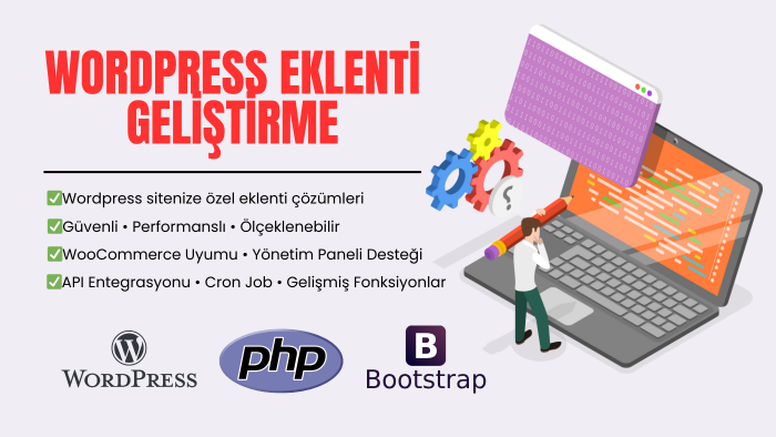 wordpress sitenize özel eklenti yazabilirim