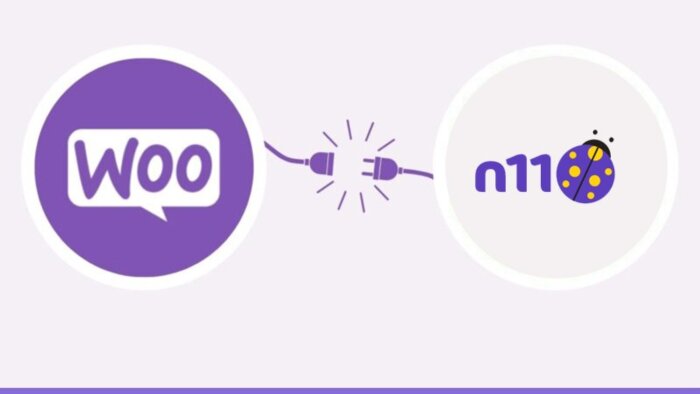 woocommerce sitenize N11 entegrasyonu sağlarım