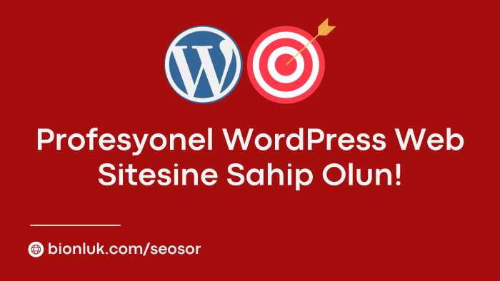 wordpress anahtar teslim web sitesi hazırlayabilirim
