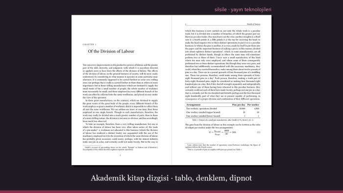 akademik kitaplarınızın dizgi ve mizanpajını yaparım