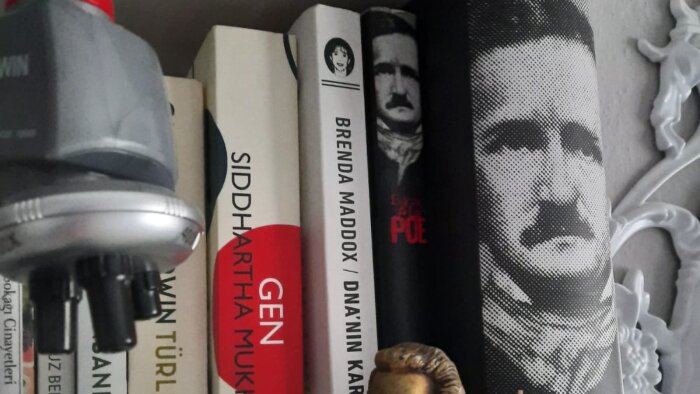 belirlediğiniz herhangi bir konu başlığında yazı yazabilirim