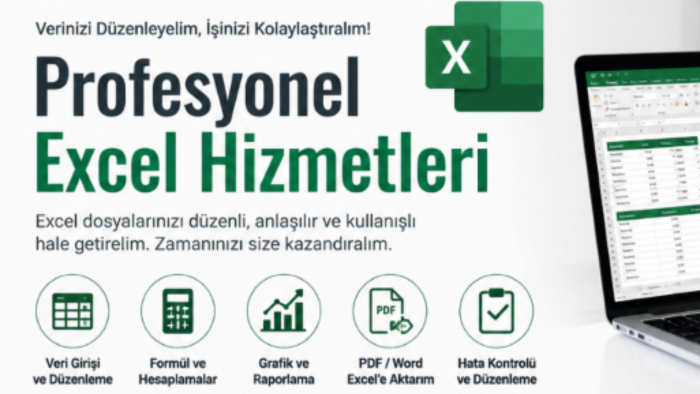 profesyonel excel hizmetleri ve veri düzenleme yapıyorum
