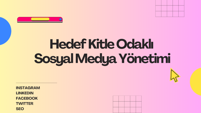 sosyal medya hesabınızı özel stratejilerle yönetebilirim