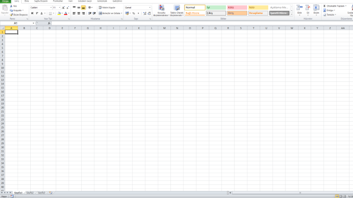 Excel veri girişi ve düzenlemelerini yapabilirim