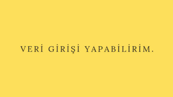 veri girişlerini yapabilirim