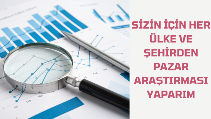 farklı ülke ve şehirde sektörel firma araştırması yaparım