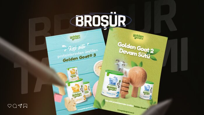 profesyonel bir şekilde broşür tasarımınızı yapabilirim