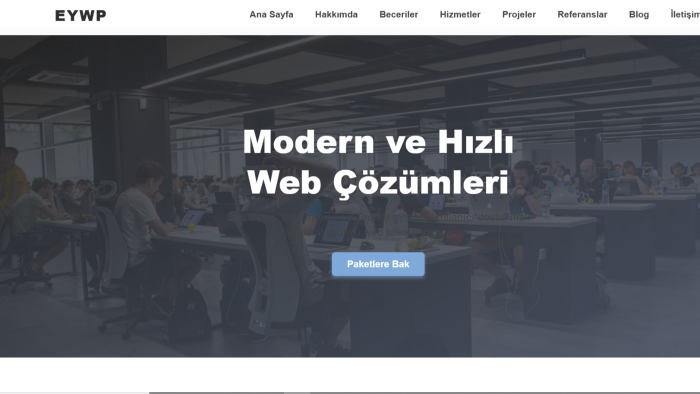 web sitesi ve tasarımını yaparım