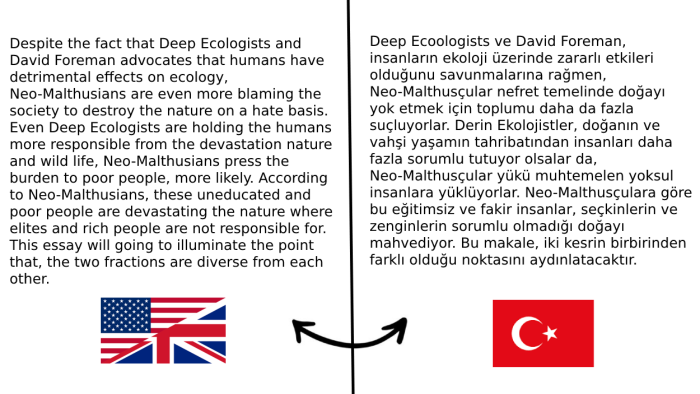 İngilizce ,Türkçe makale ve metin çevirisi yapabiliyorum