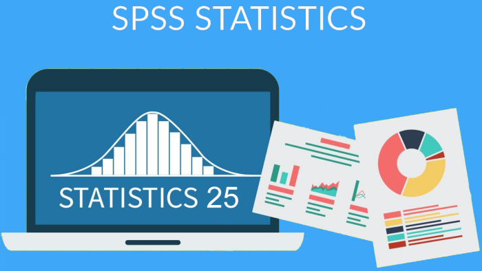 SPSS veri girişi ve analizi yapabilirim