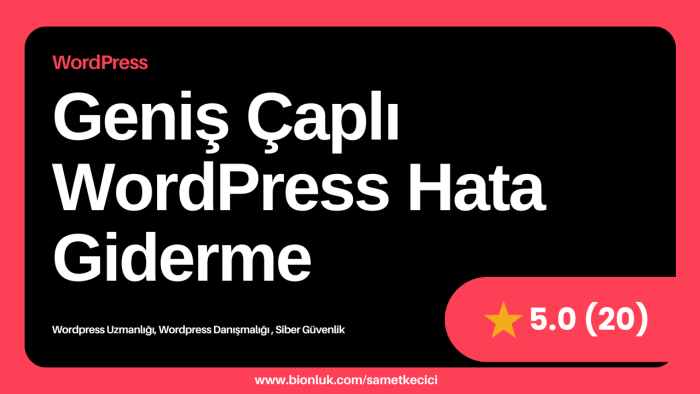 wordpress içerisinde görebileceğiniz hataları düzeltebilirim