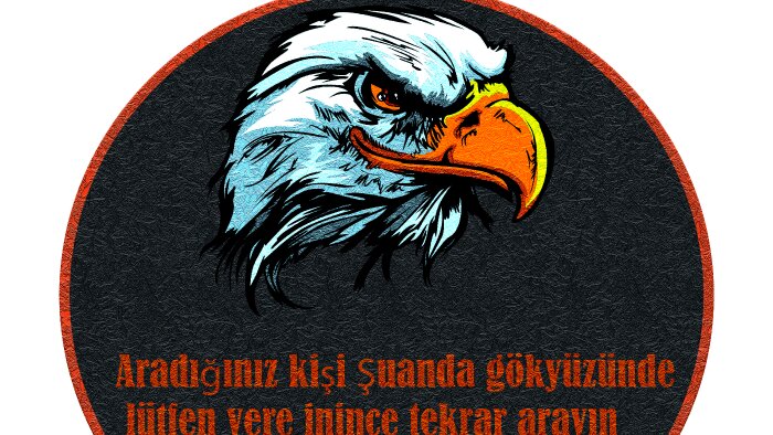 pro programlar kullanarak çeşitli tasarımlar yapıyorum