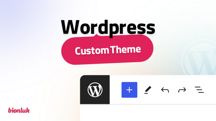 profesyonel WordPress tema kodluyorum