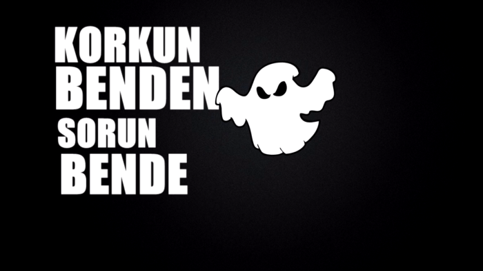 lyric videolarınızı yaparım