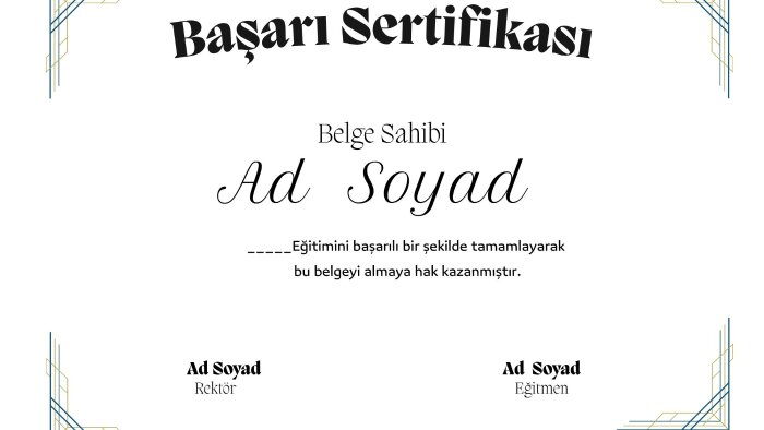 kişiye özel çizim portre / illüstrasyon tasarlayabilirim