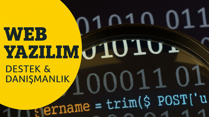 sizin için web yazılım üretebilir, sorunlarınızı çözebilirim