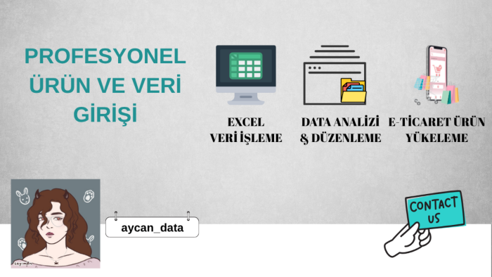 profesyonel ürün ve veri girişi yapabilirim