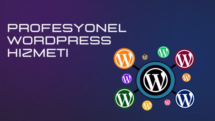 wordpress tabanlı bireysel & kurumsal web sitesi kurabilirim