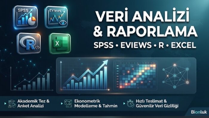 akademik ve kurumsal projeleriniz için veri analizi yaparım